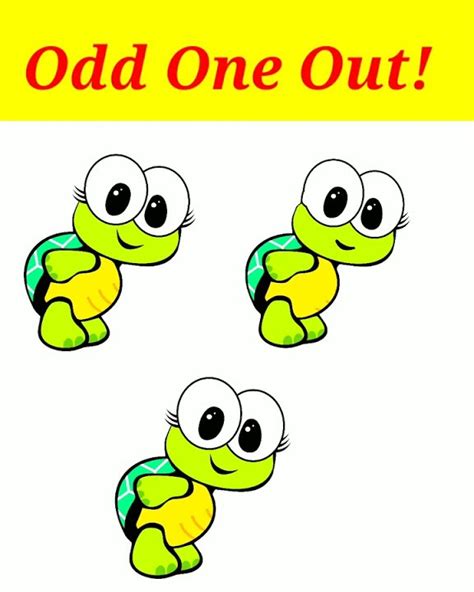 find the odd one out tortoise crab frog fish
